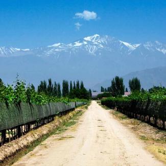 La fête des vendanges de Mendoza