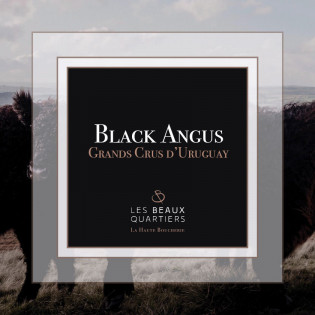 Le Coffret Black Angus Grands Crus