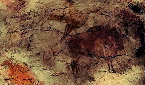 Les ancêtres des vaches, les Aurochs, dans la grotte Altamira en Espagne